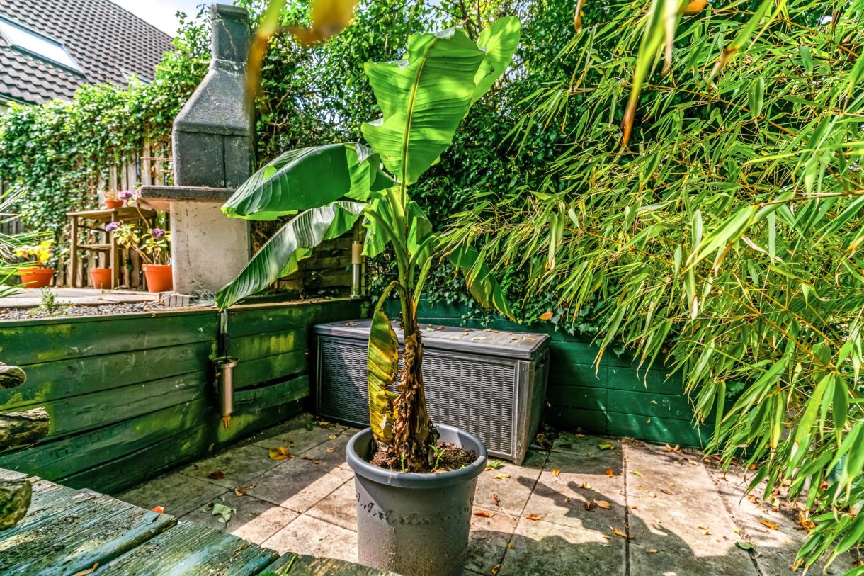 Te koop: Foto Woonhuis aan de Biltseveste 45 in Nieuwegein