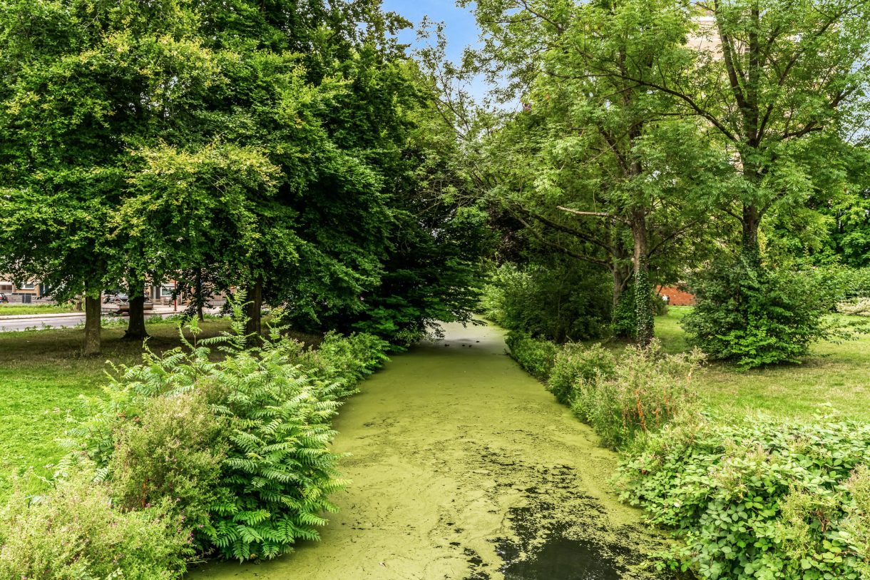 Te koop: Foto Appartement aan de Wenckebachplantsoen 49 in Nieuwegein