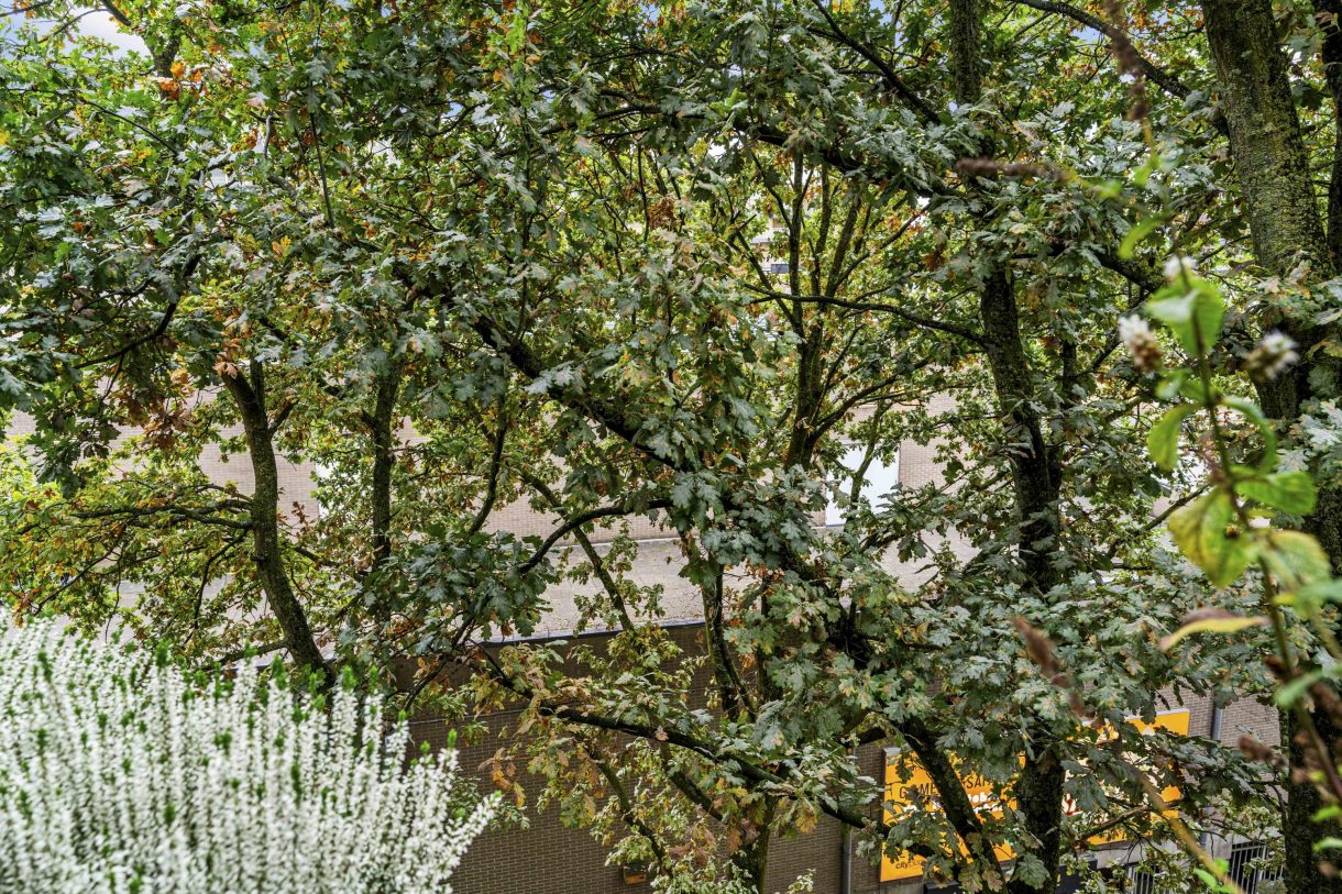 Te koop: Foto Appartement aan de Bankstede 30 in Nieuwegein